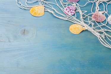 Similar image 7845437