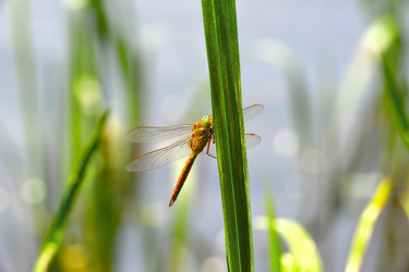 Similar image 7846110