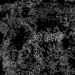 Similar image 7846136