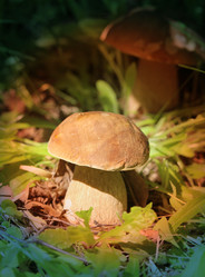 Similar image 7846166