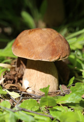 Similar image 7846168