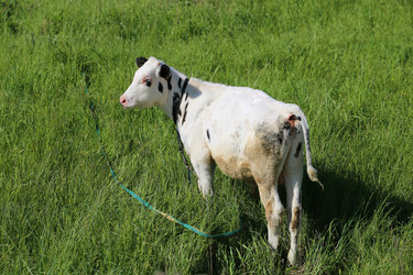 Similar image 7846170