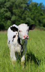 Similar image 7846171