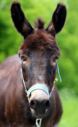 Similar image 7846173