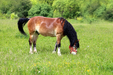 Similar image 7846178