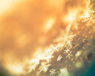 Similar image 7846209