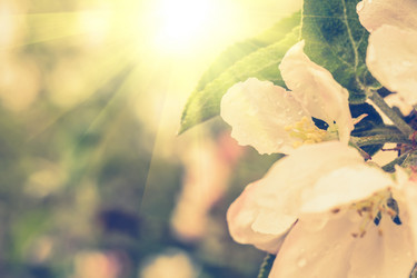 Similar image 7846210