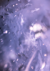 Similar image 7846221