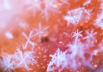 Similar image 7846234