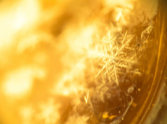 Similar image 7846235