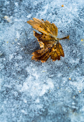 Similar image 7846236