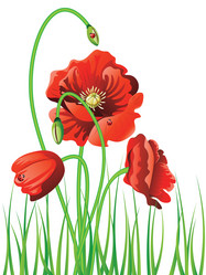 Similar image 7846247