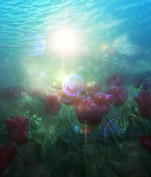 Similar image 7846253