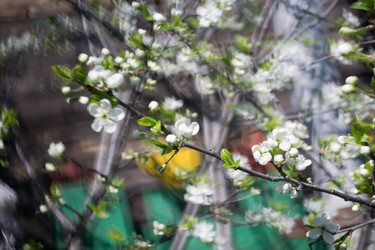 Similar image 7846284