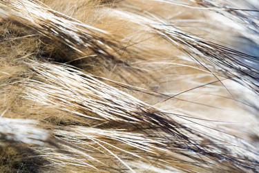 Similar image 7846294