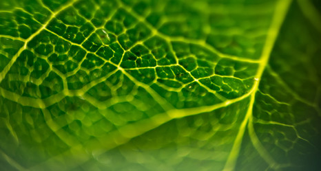 Similar image 7846309