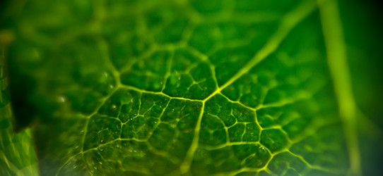 Similar image 7846320