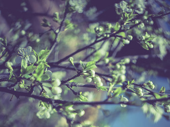 Similar image 7846321