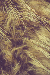 Similar image 7846322