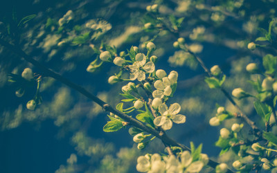 Similar image 7846326