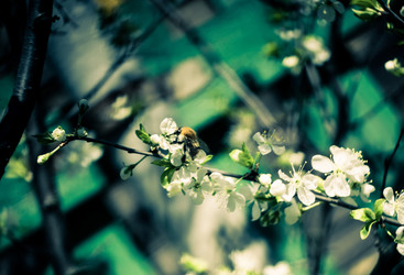 Similar image 7846327