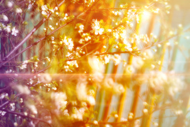 Similar image 7846329