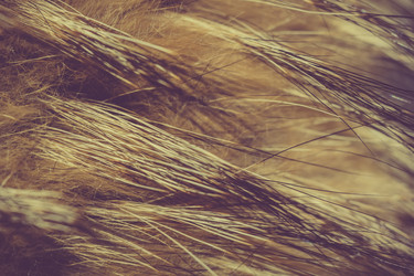 Similar image 7846330