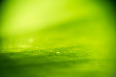 Similar image 7846332