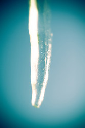 Similar image 7846334