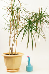 Similar image 7846593