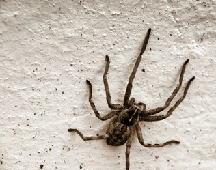 Similar image 7846757