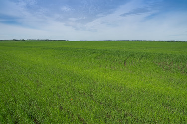 Similar image 7846758