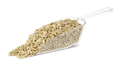 Similar image 7846763