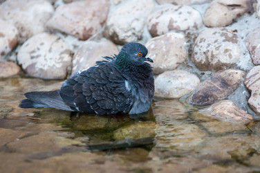 Similar image 7846803