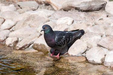 Similar image 7846804