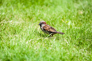 Similar image 7846806