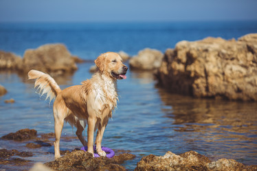 Similar image 7846946