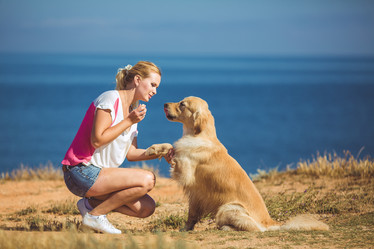 Similar image 7846958