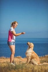 Similar image 7846961