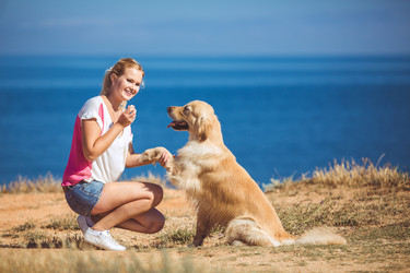 Similar image 7847007