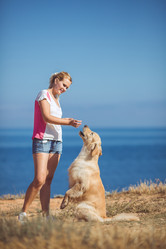 Similar image 7847008