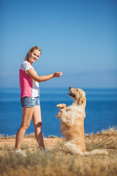 Similar image 7847009