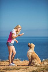 Similar image 7847010