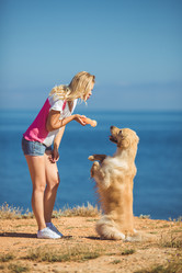 Similar image 7847011