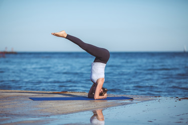 Similar image 7847020