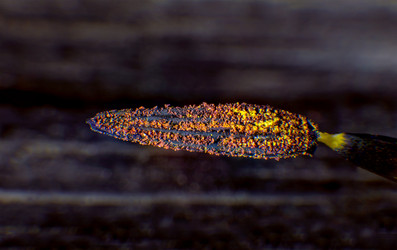 Similar image 7847119