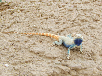 Similar image 7847147