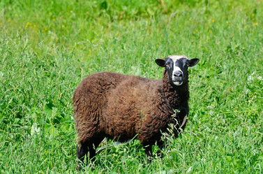 Similar image 7847192