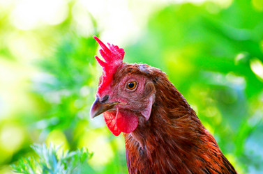 Similar image 7847195