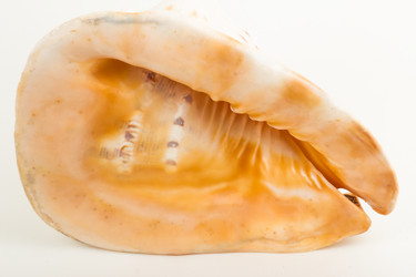 Similar image 7847324